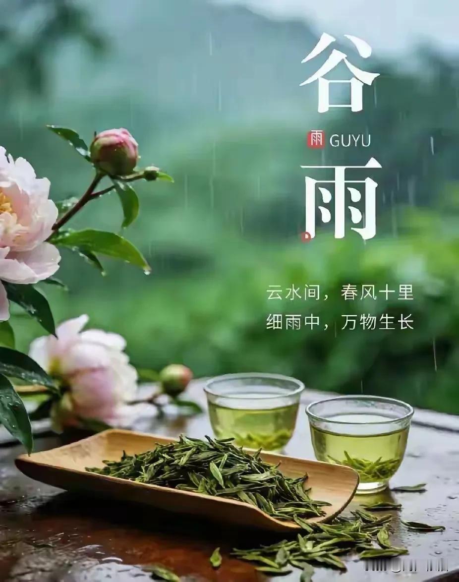 七律《谷雨》
 
雨生百谷润芳郊，
柳色新浓燕语捎。
池面浮萍添翠影，
篱边嫩笋