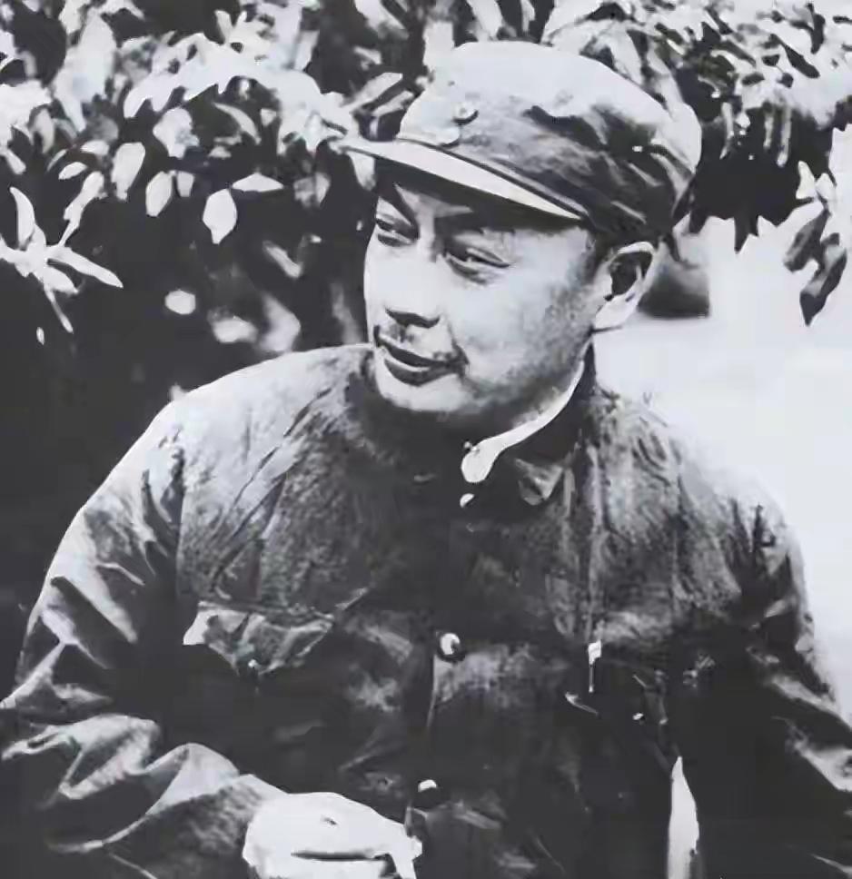 1955年授衔时，有人不同意授陈毅元帅，毛主席：你去打三年游击试试

聊到195