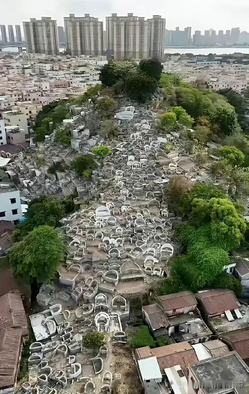 广东人不信鬼神，在如此众多的墓地旁边生活，要是我早就吓尿了…