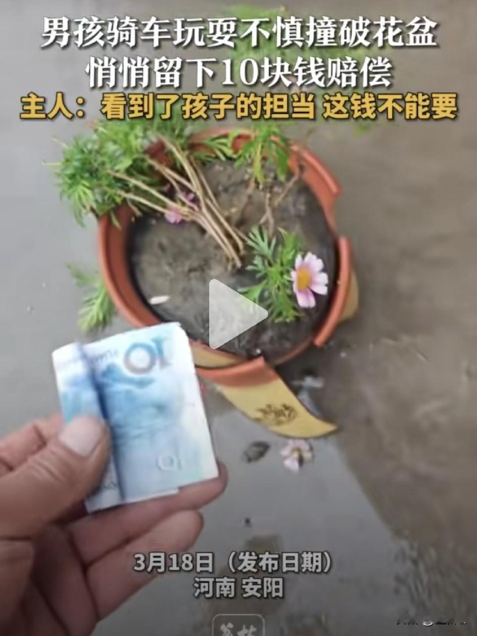 这孩子中[赞]安阳10岁男孩撞破花盆，留10元钱转身就走！主人看完监控红着眼说：