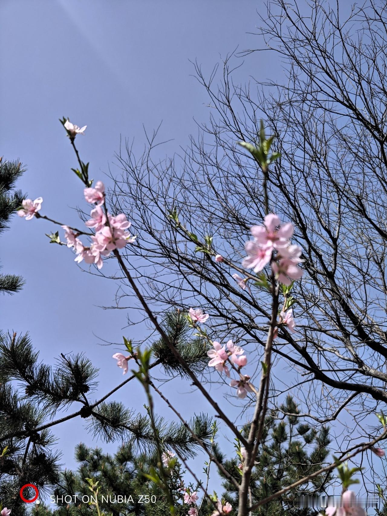 ：简简单单不简单。