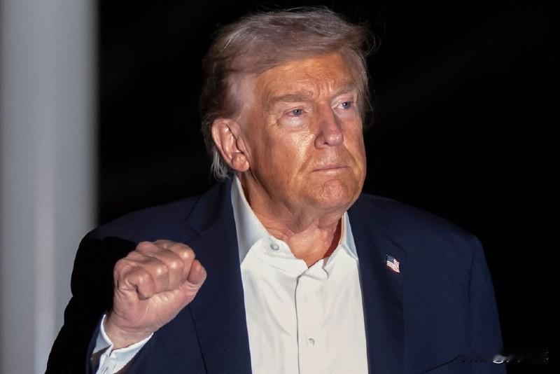 《柏林日报》：特朗普需要盟友以影响普京

10月15日，《柏林日报》发文称，美国