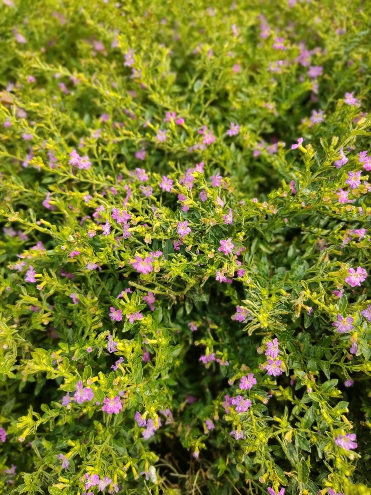 吹响新年的集结号
———“妈妈心缘”新年致辞

        2024年就要过