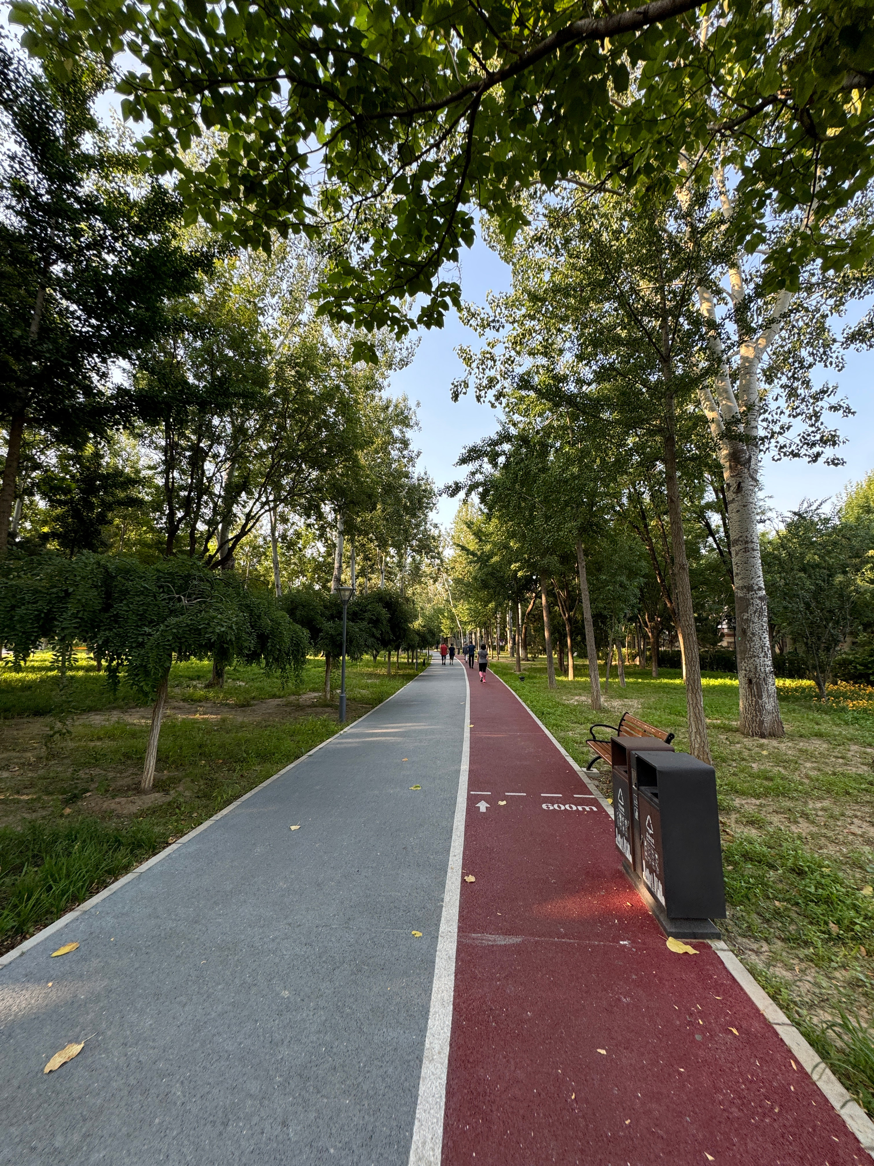 🏃生活手记  ​​​