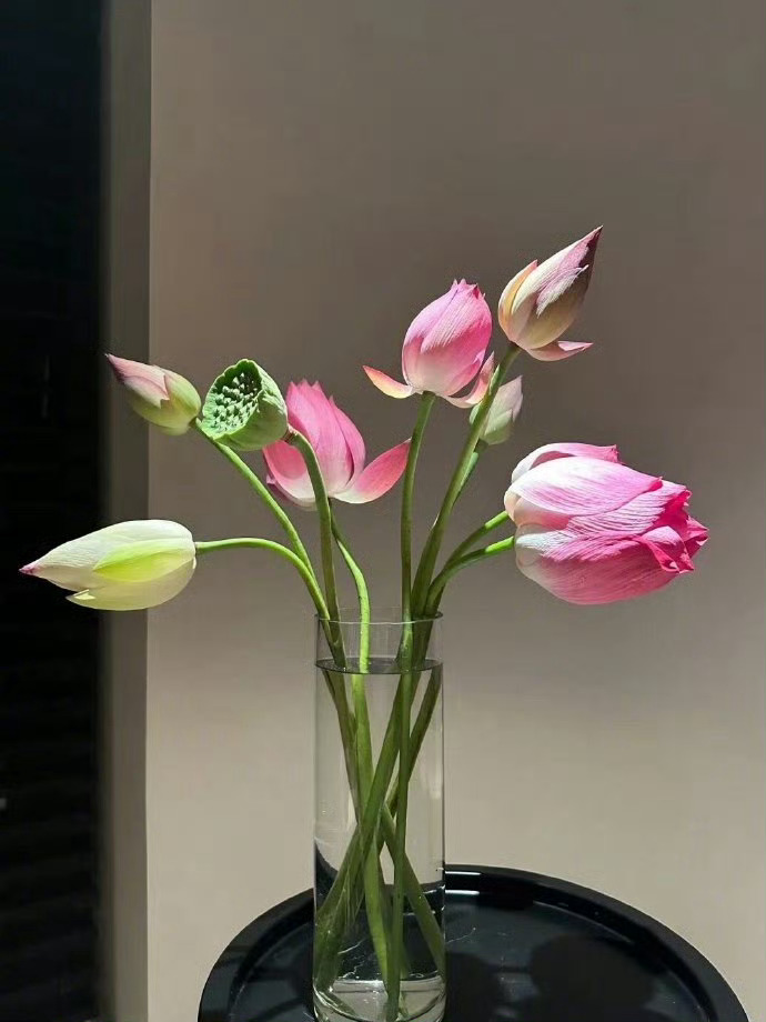 🦋 𝗶𝘁'𝘀 𝗼𝗸 !!“翻篇不是为了原谅别人，是放过自己” ​​​