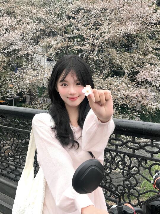 骑上小车车赏樱去咯🌸