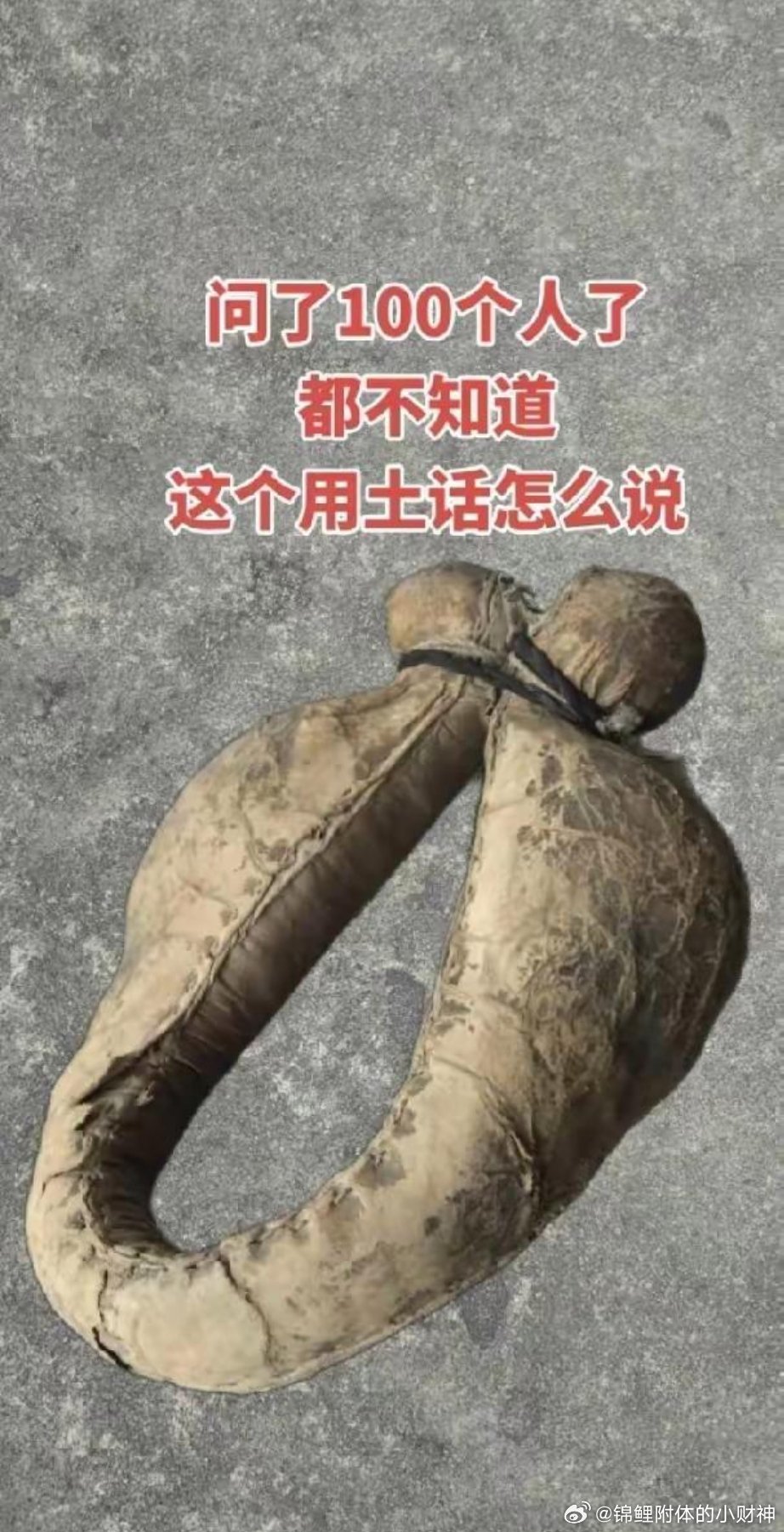 问了100个人都不知道这叫什么？以前在村里常见，现在基本是没有 