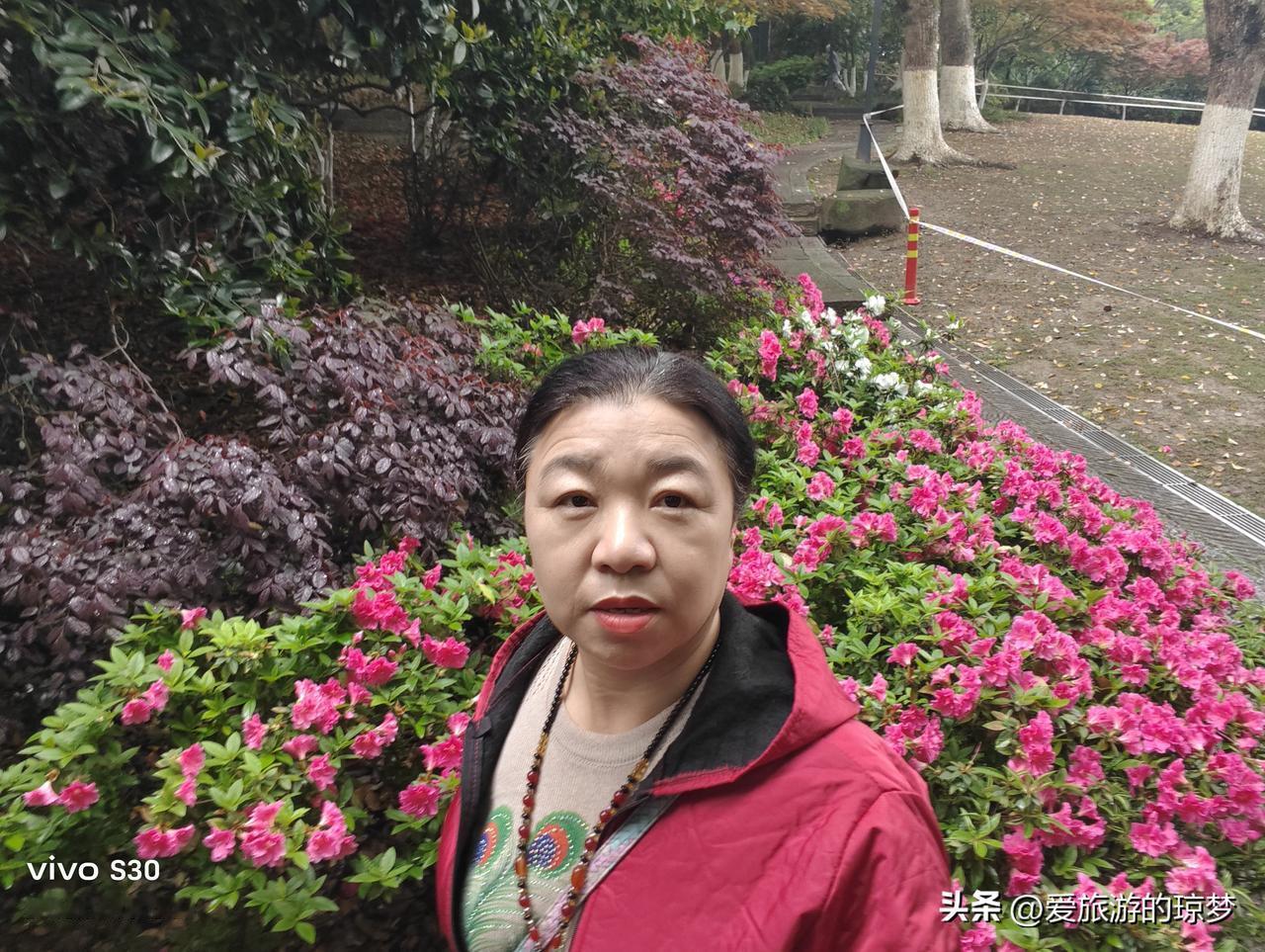 随手拍张照