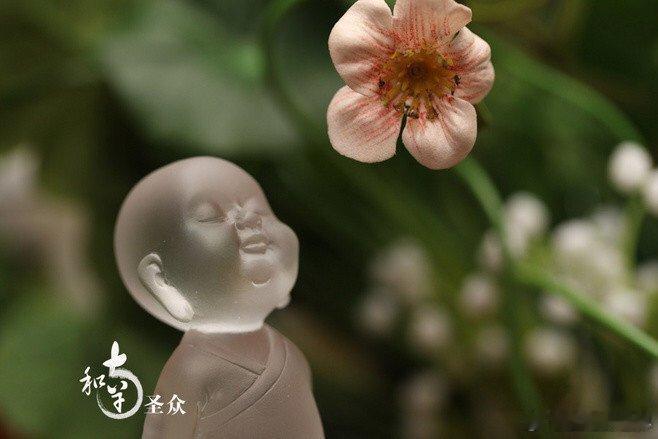 尺有所短，寸有所长。尺之木必有节，寸之玉必有瑕。每个人都不完美，每件事都有缺憾。