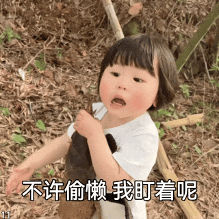 重庆冠军赛的外卡提名太原常挑的单打名单