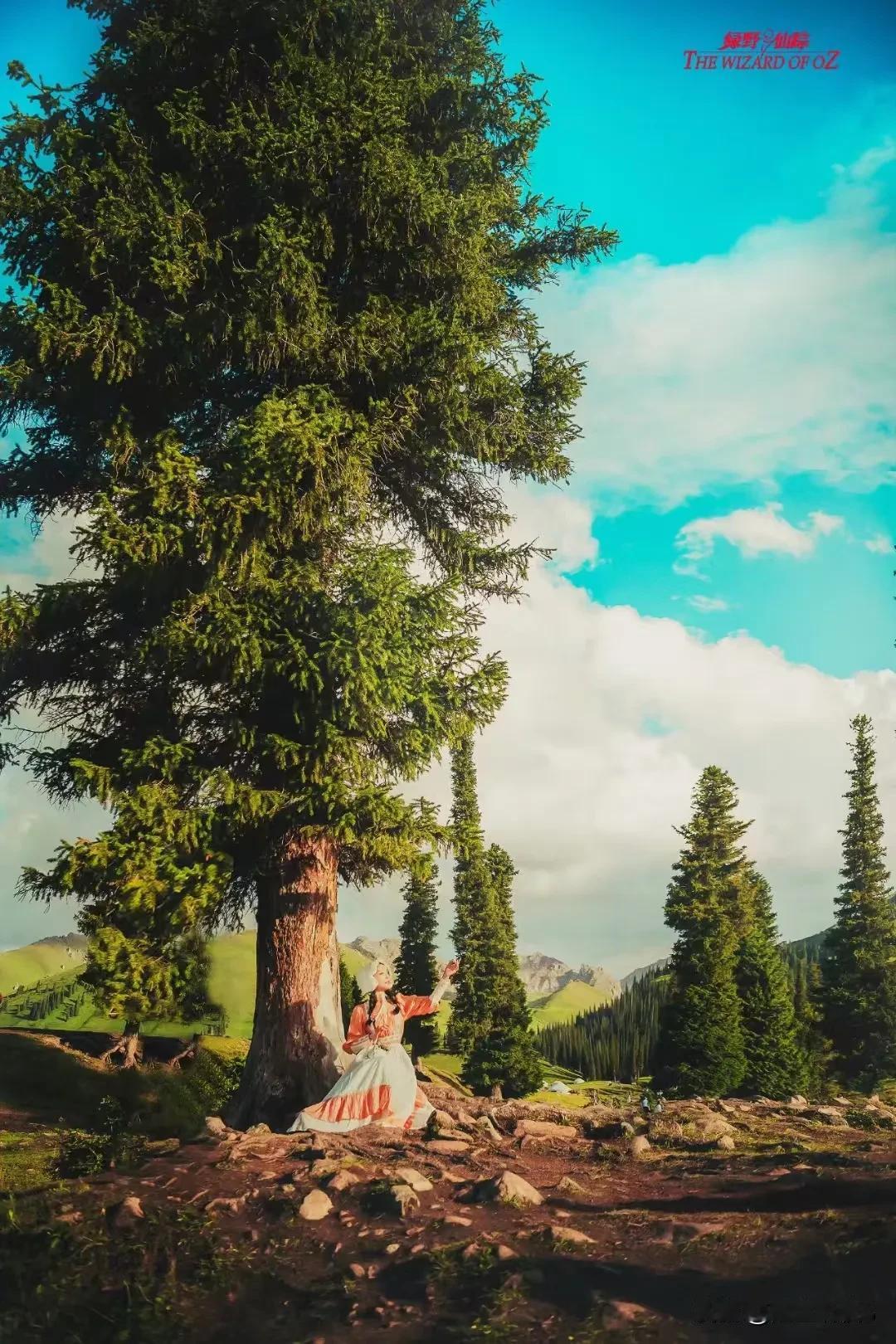 大约秋暮（原创首发）陋室听秋/文
 
秋草渐凉，被风的指尖翻动，
一缕幽风，似梦