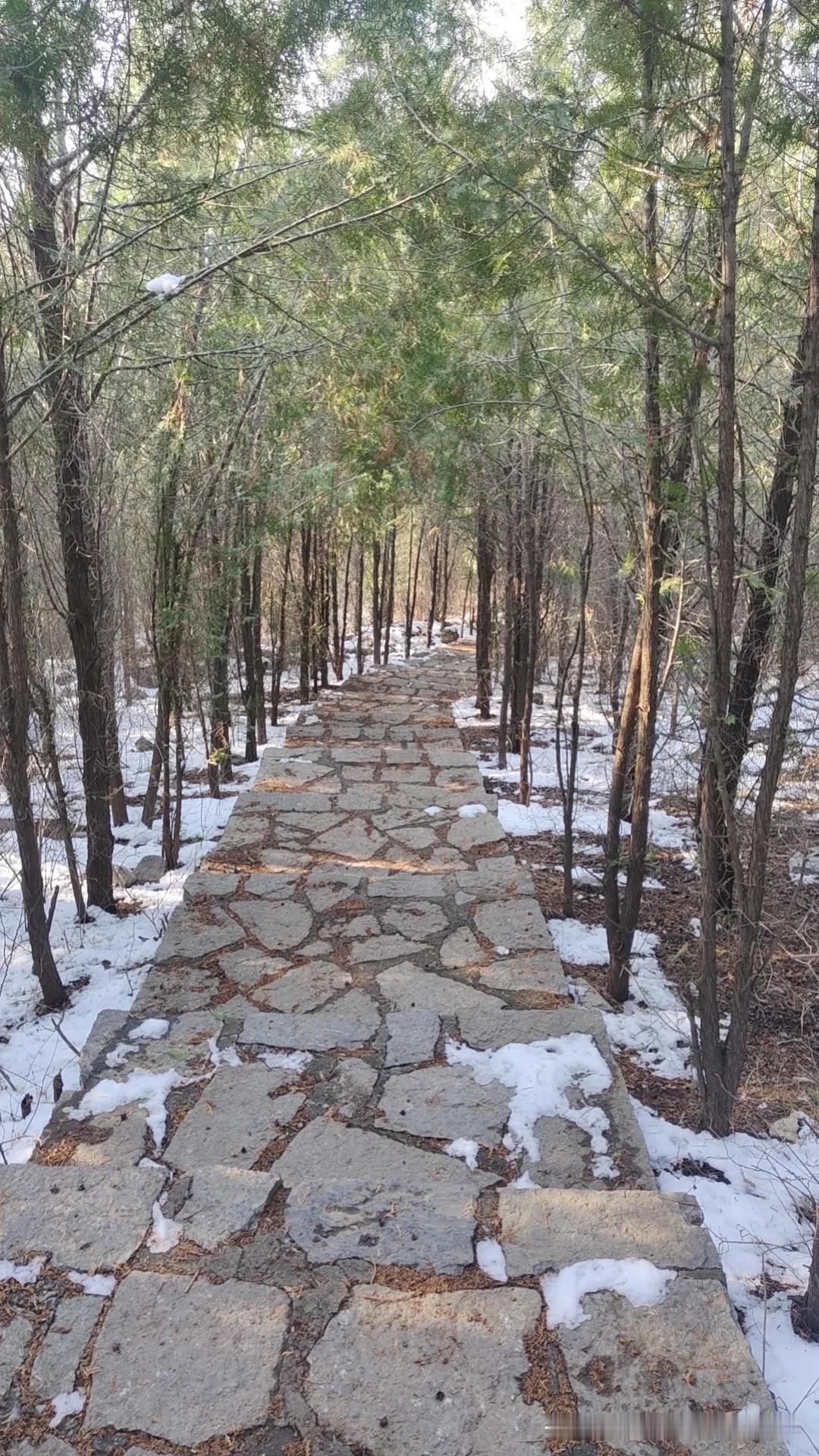 今晚继续追爱你。红豆。
最重要的是用一日三餐让自己回到正常的生活状态。