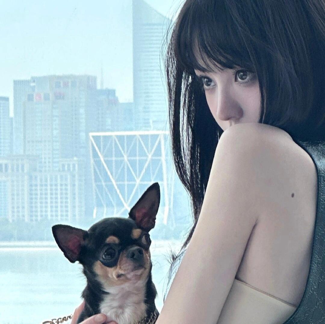 𝙒𝙚𝘾𝙝𝙖𝙩 ｜田曦薇明星头像氛围感头像精选女头 