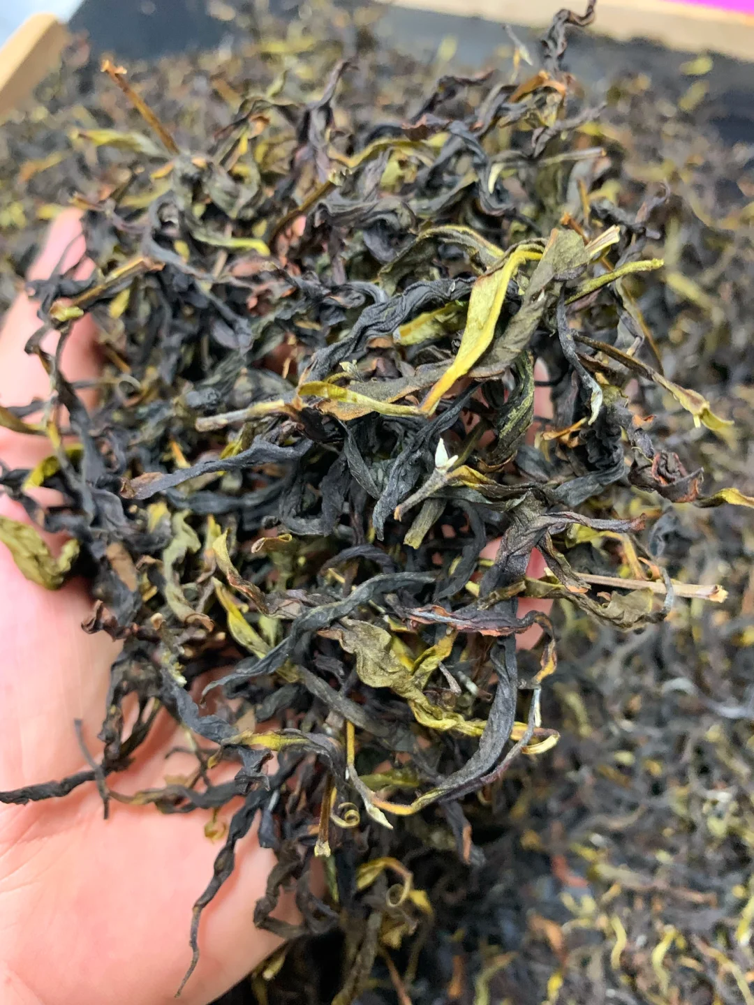 这么香的鸭屎香，正常吗？