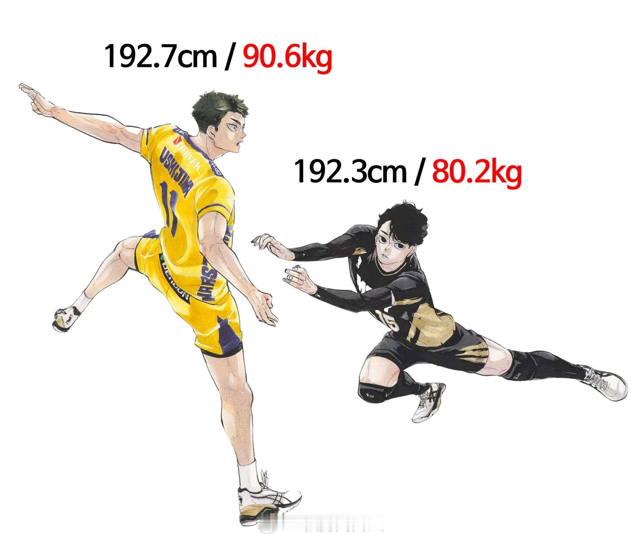 身高一样，相差10公斤……#排球少年##动漫# ​​​