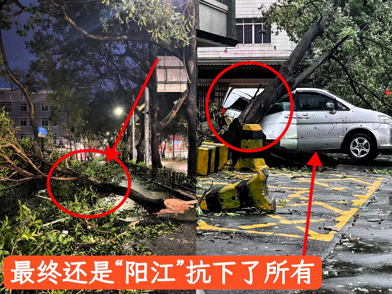 这次超级台风，阳江损失非常惨重。
9月24日下午，从16点到17点之间，风力达到