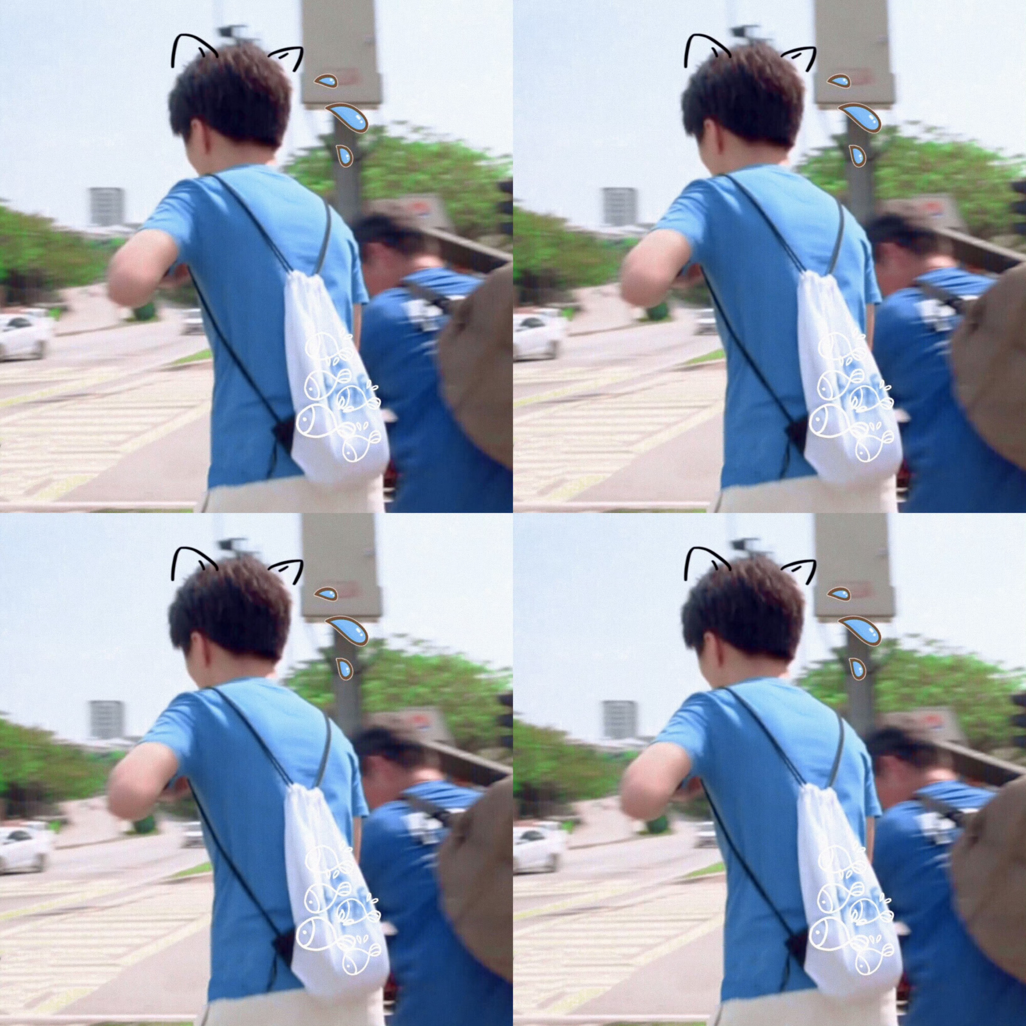 小凯小凯，呼叫小凯，听到请回答📱 