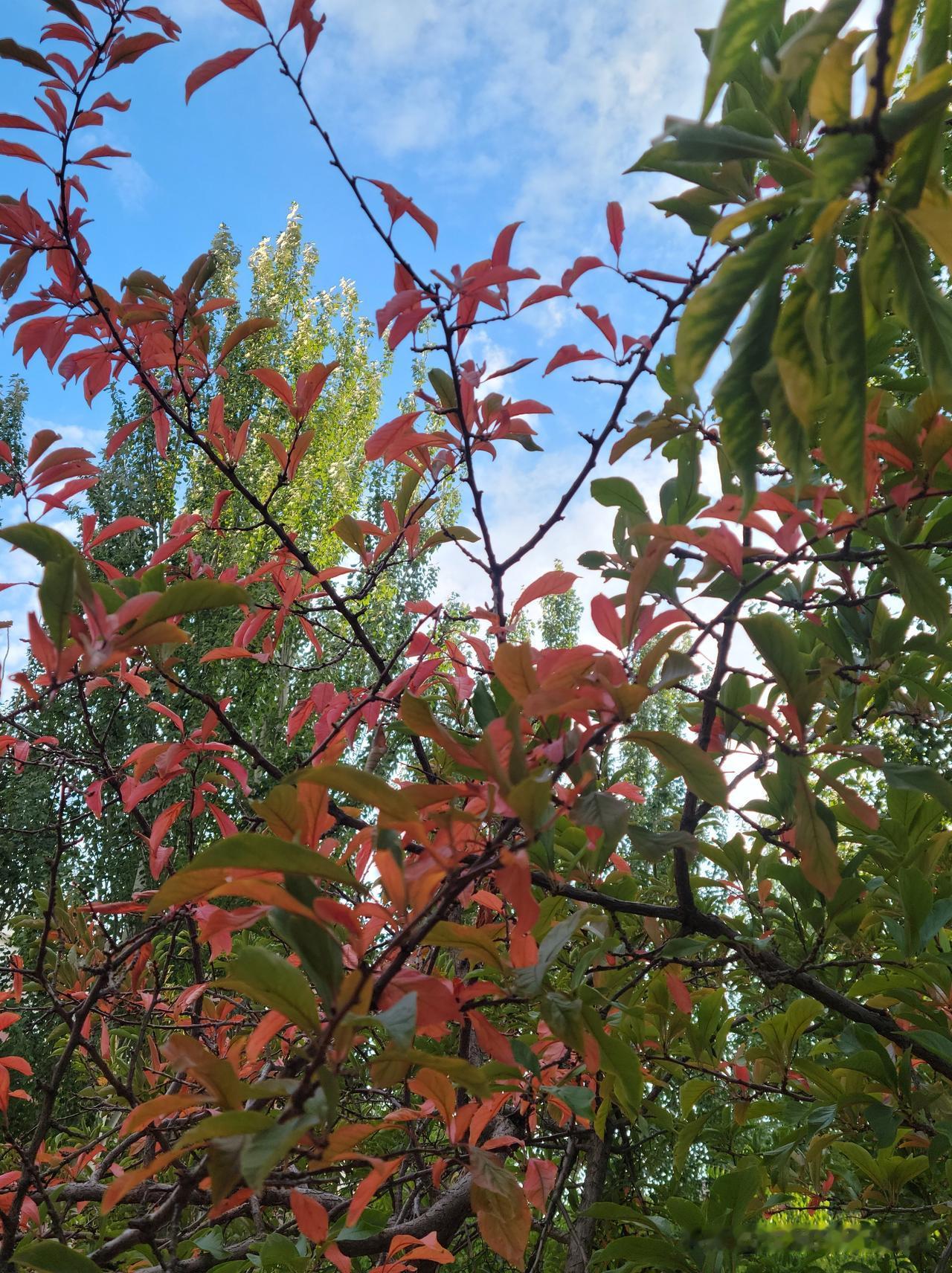 分享我这周有趣的事：今天去银行办理一笔业务，接待我的是一个今年新毕业大学生。
