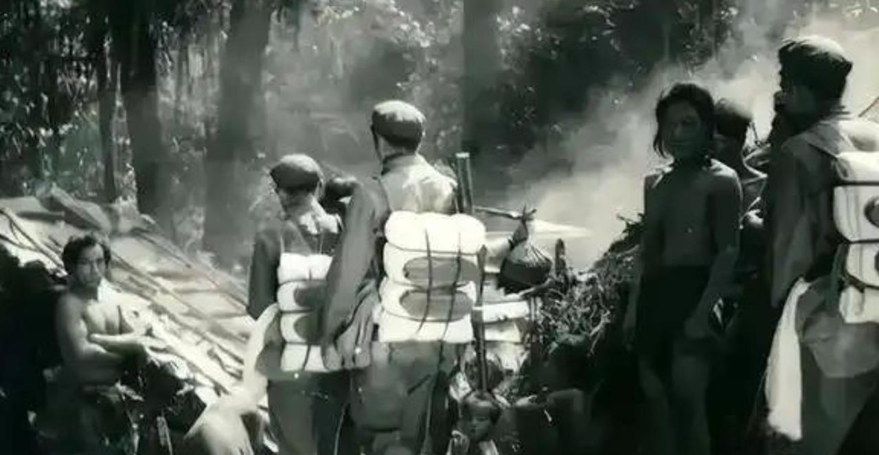 1956年，部队在云南原始森林深处，发现一群衣不蔽体蓬头垢面的人，经过调查发现他
