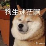 谁来管管现在的配音厉害的配音可以跟着画面一秒入戏，声线随心切换，情绪层层递进，简