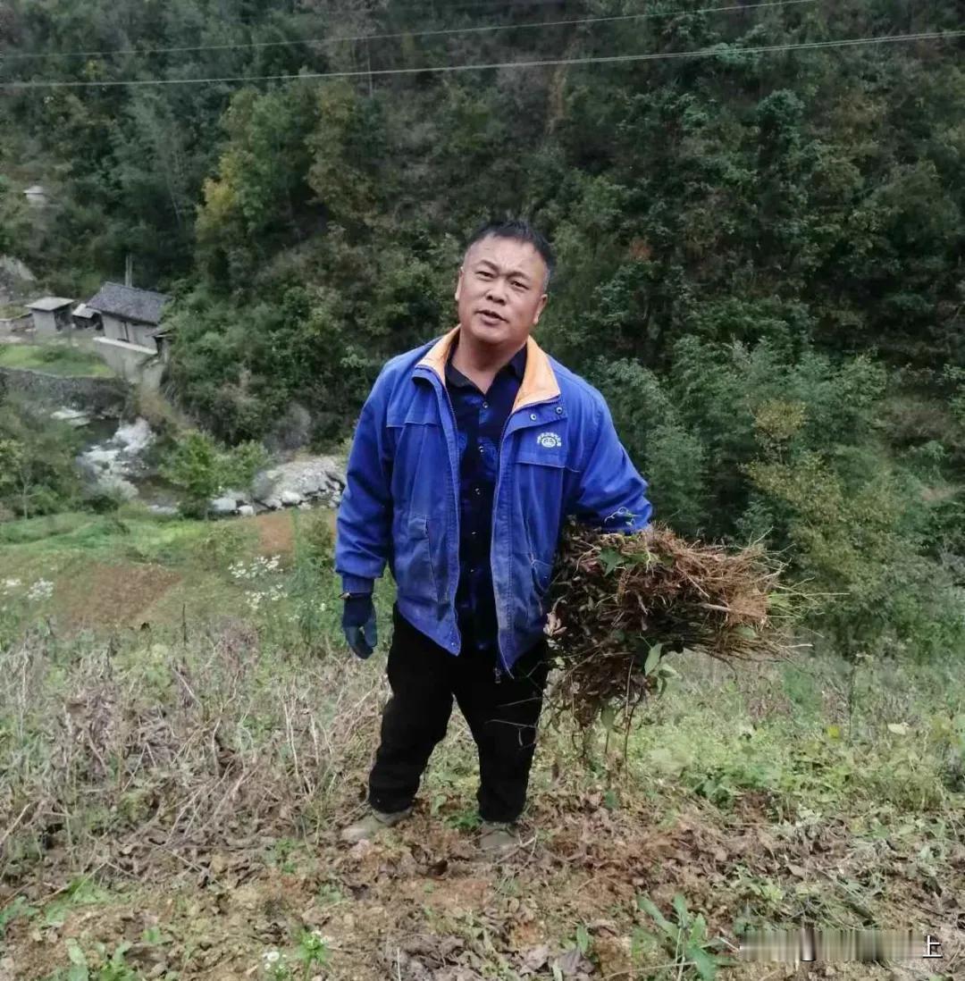 近日汉中持续阴雨，但江边确实一幅岁月静好的画面，汉中人的“老朋友”红嘴鸥回来，与