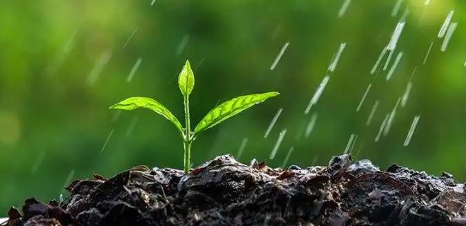 冷知识：雨后的泥土味并不是土本身的味道，而是放线菌产生的特殊气味？

不知道你有