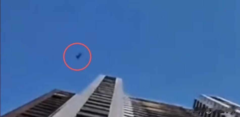 丧心病狂！大连高层抛猫致死，残忍行径必须重罚
 
大连发生骇人一幕，有人从高楼抛