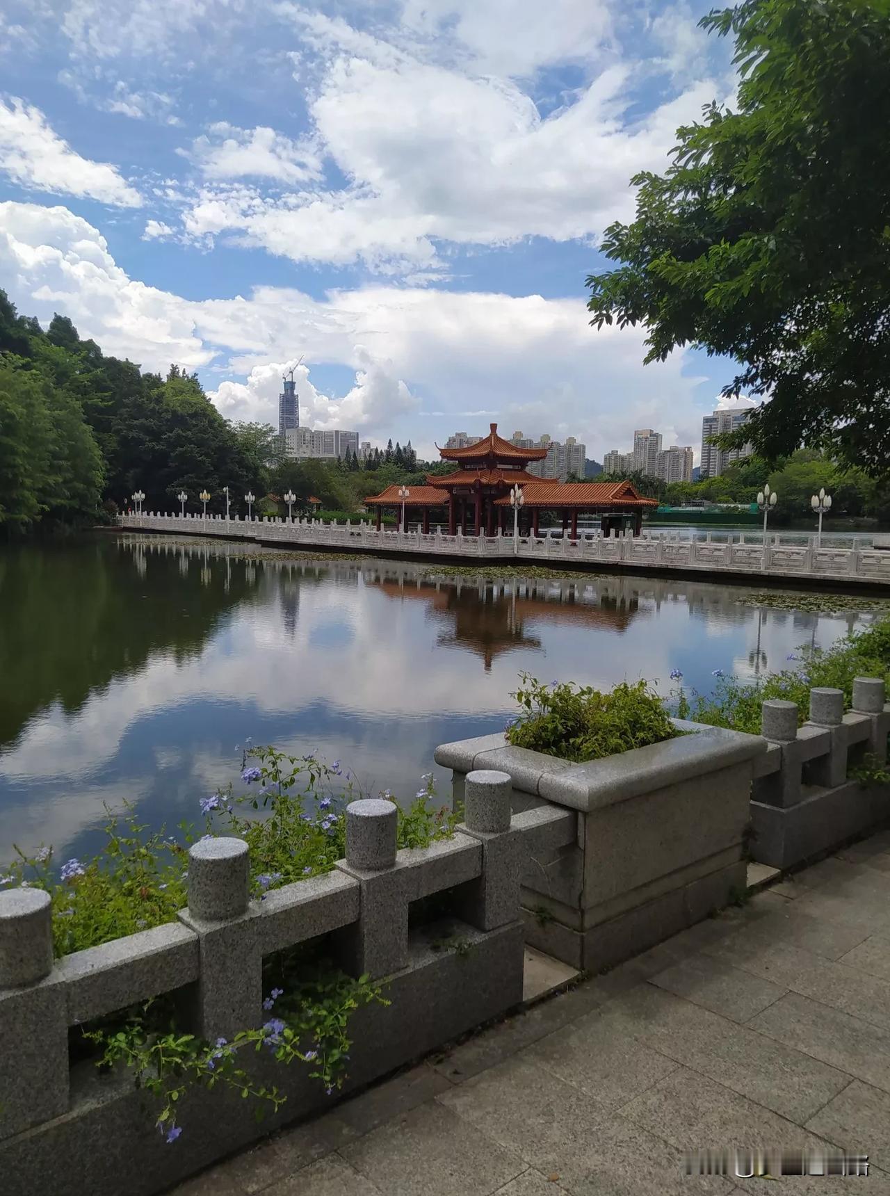 荔枝公园的风景不错，我就喜欢这种静静的环境，特别幽静，走在这树下，心旷神怡。
虽