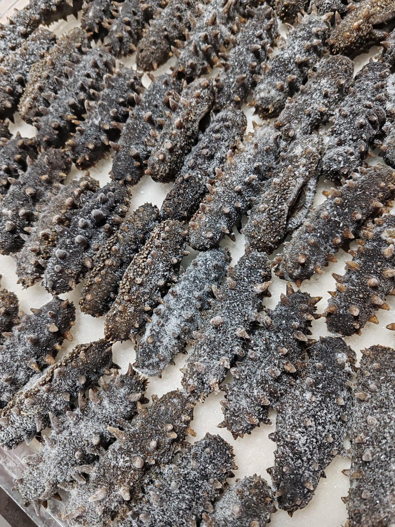 晒图笔记大赛泡发，冷冻，装袋，随吃随拿。