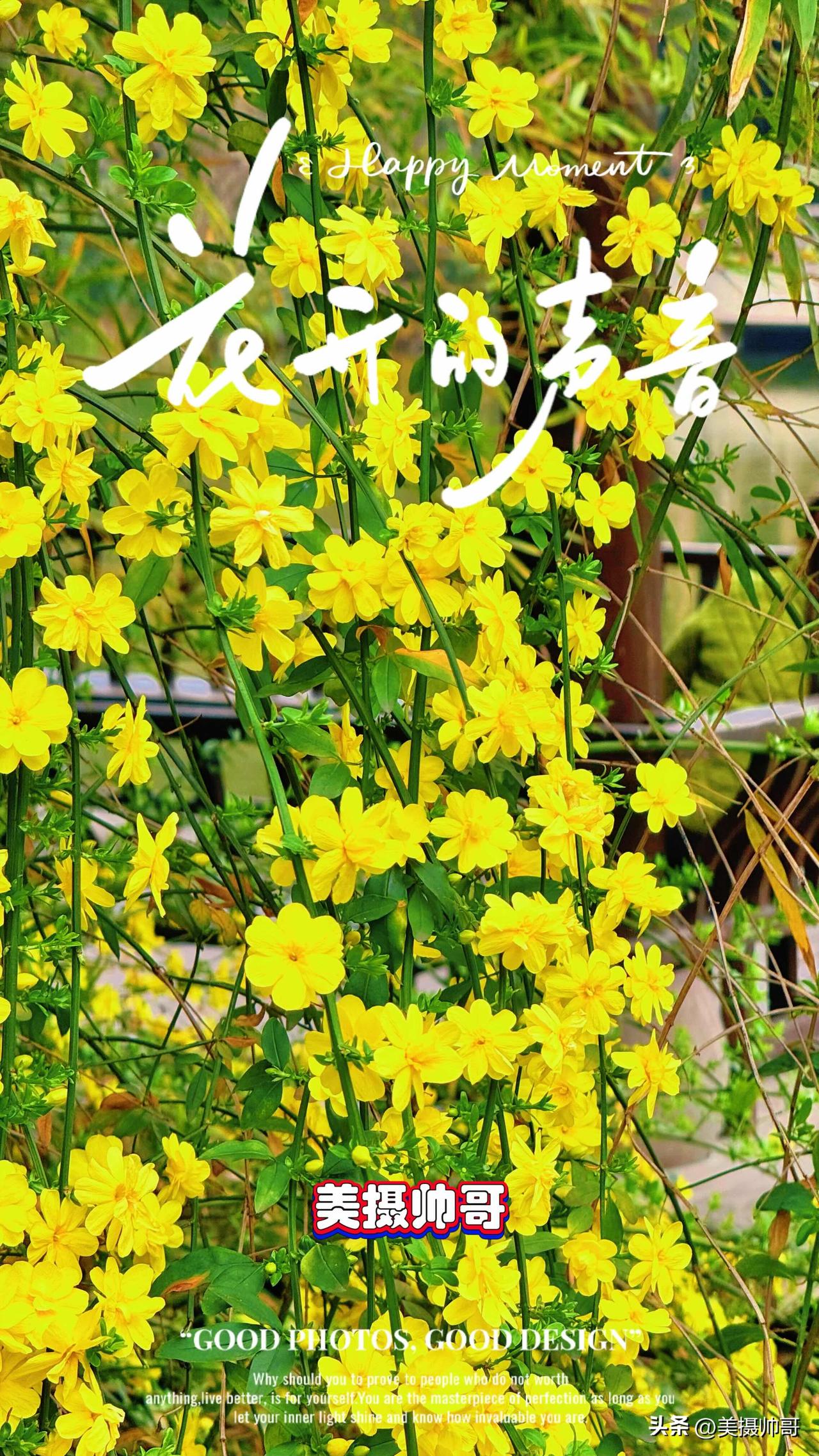 春日偶见

正月十四，风软古街，春信初临。

一袭汉服轻扬，行过朱檐古巷，衣袂沾