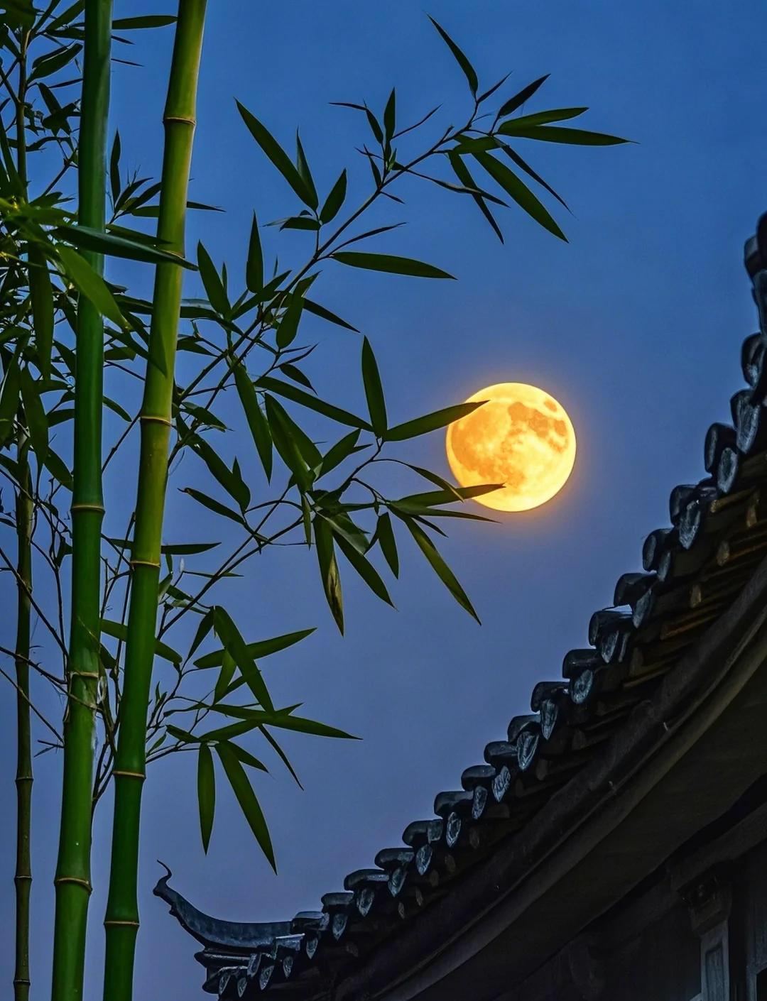 下联：屋后新竹齐赏月。