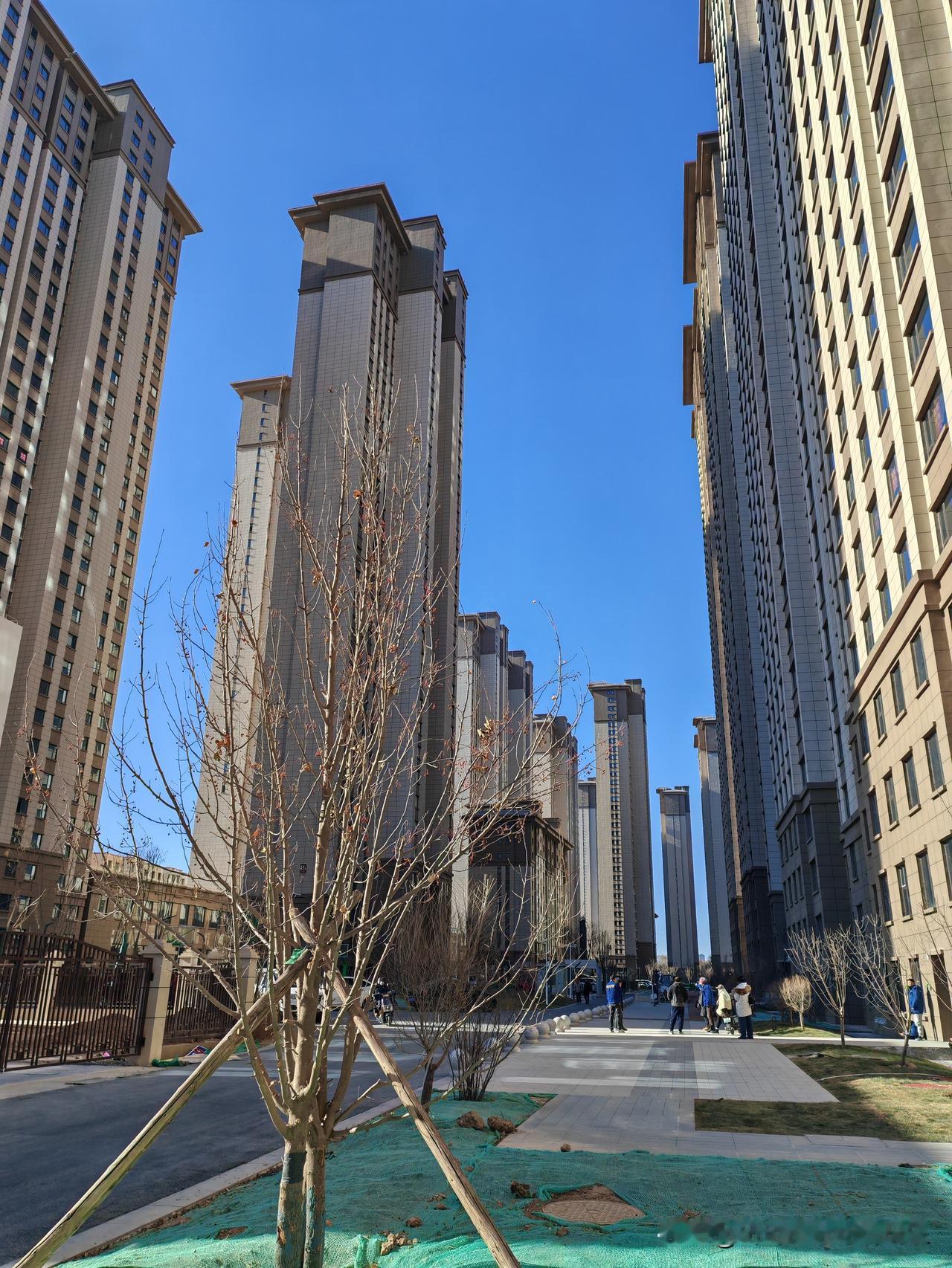 冬日生活打卡季冬天还是一片晴空万里的景象，我想说的是气候虽然寒冷，但是有大太阳的