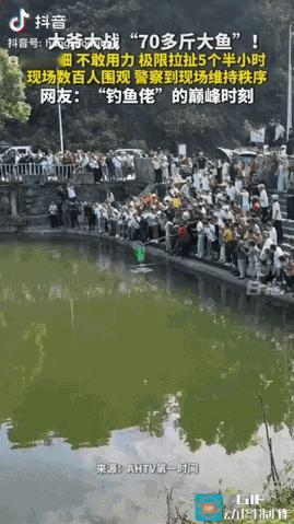 大开眼界！贵州遵义，一位大爷湖边垂钓，意外上钩一条70多斤巨型青鱼。

可他手里