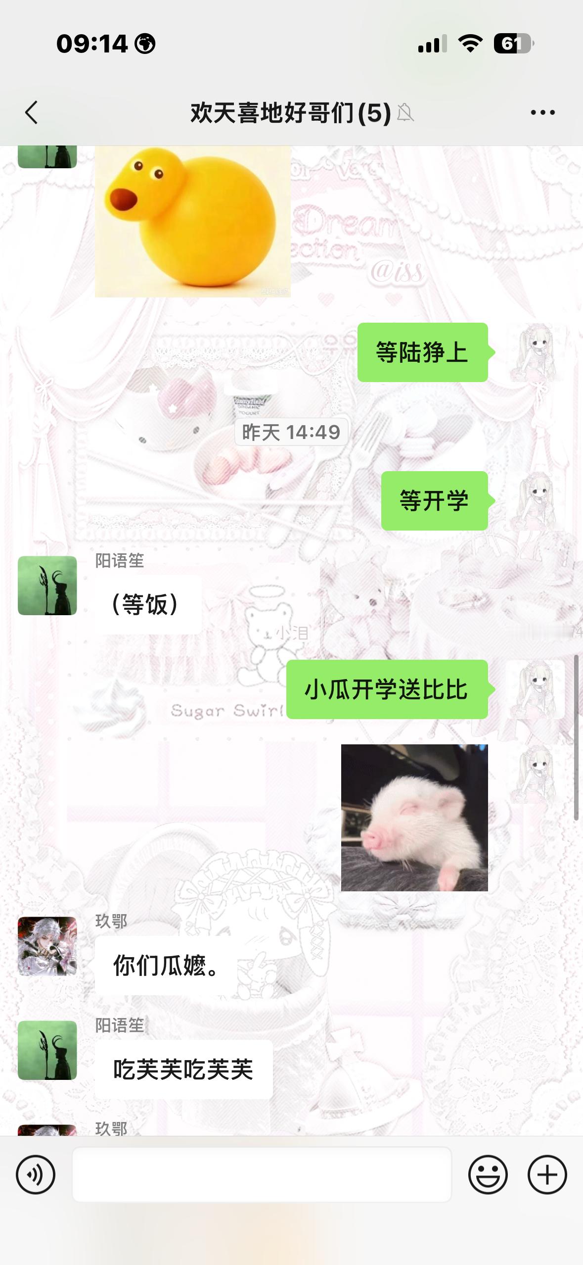 嘻嘻。书院开门小瓜送比比 