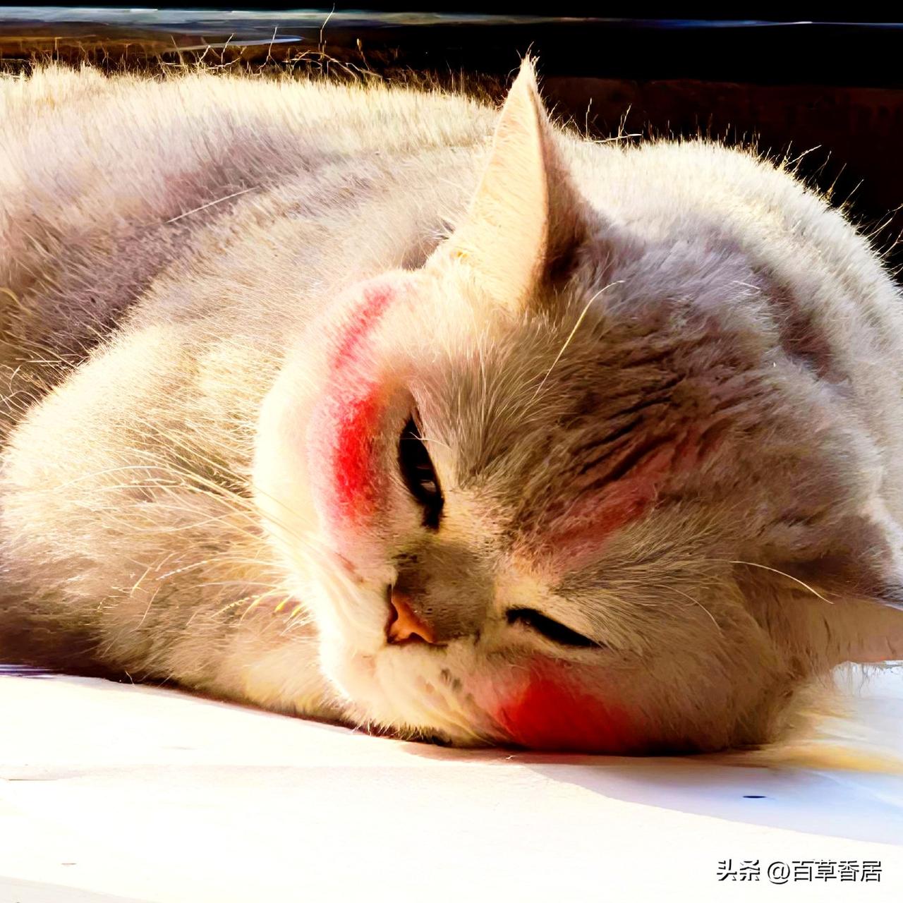 上联:借我三分醉意，
下联:还你半年糊涂。