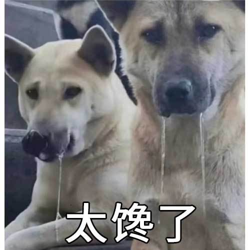 明天准备出发亚锦赛，求广大网友推荐一下宁波的美食或者餐厅，这次准备好好吃一吃20