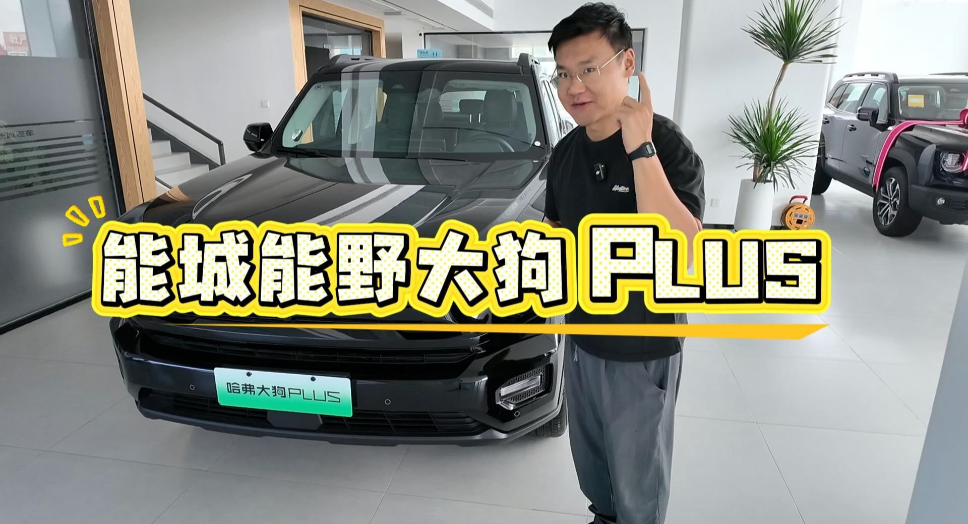 哈弗大狗 PLUS 全面解析