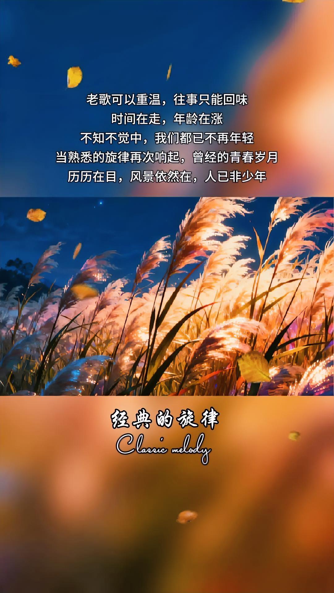 人生如四季,你在哪一季?

你的人生在自己心里！
时光缓缓，岁月漫漫，在自己喜欢