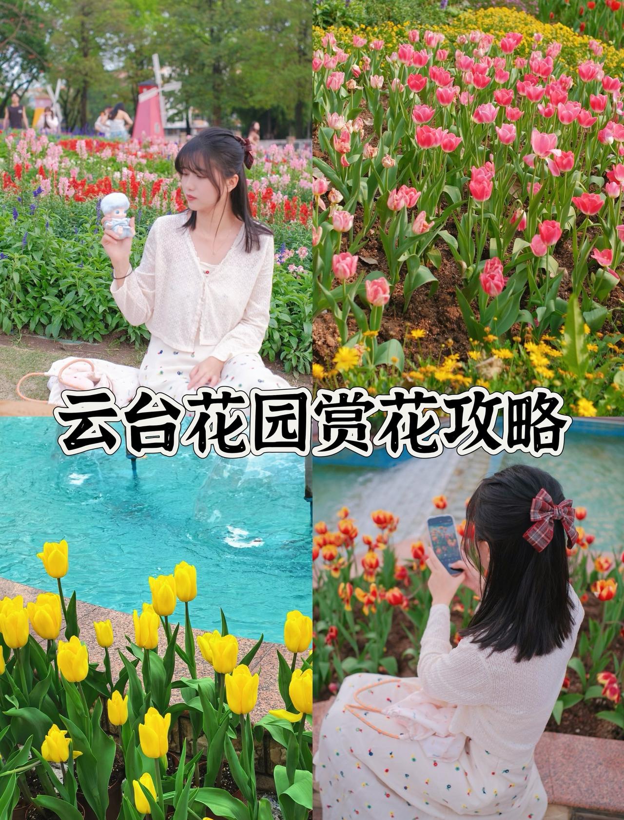 云台花园保姆级赏花攻略来啦！！
📍广州 云台花园-玫瑰园
广州的春天就藏在白云