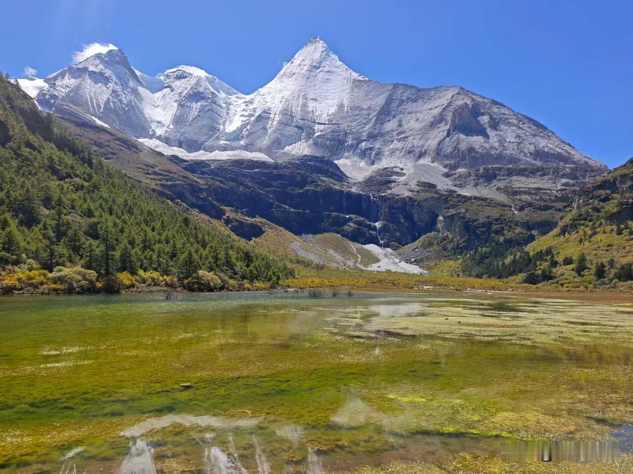 贡嘎措的湖水，
把天空和雪山都揽进怀里。
我站在这里，
突然懂了什么叫渺小...