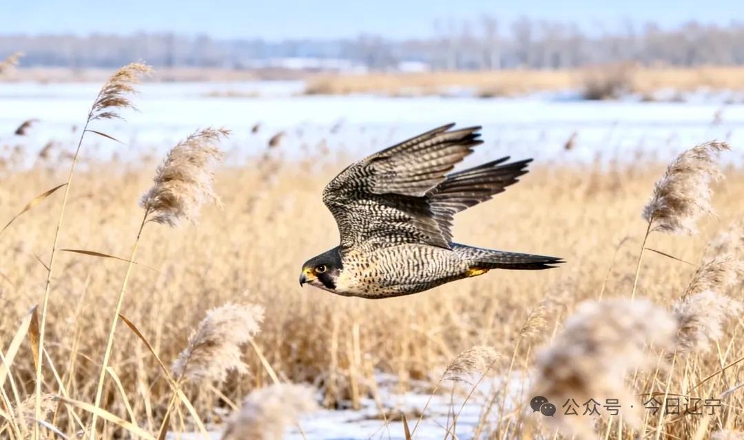【这个世界从来没有真正的遗憾，只有放错地方的希望】
        “这个世界从
