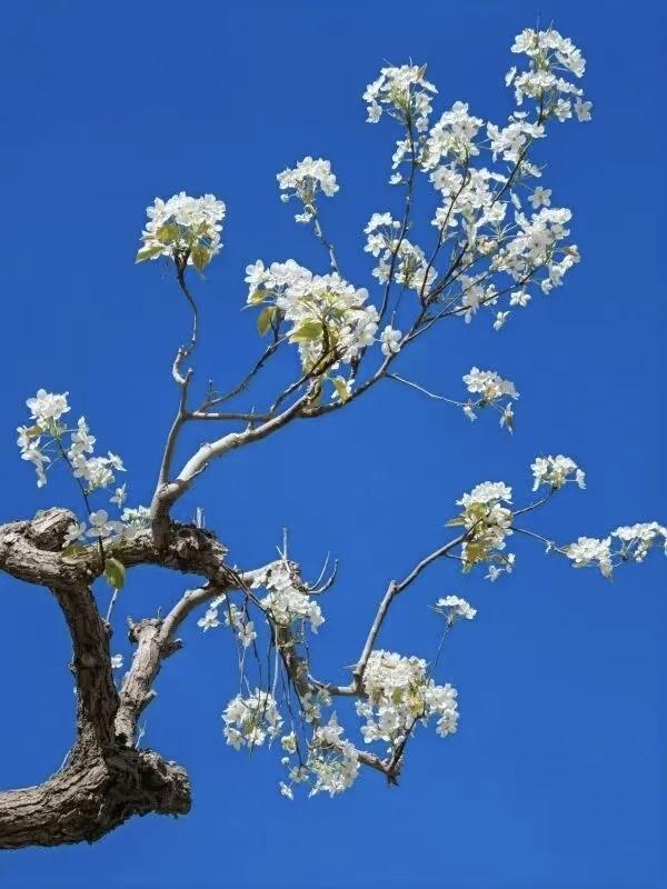 【越是身边熟悉的人，攀比和嫉妒心越强；没事，少发朋友圈，总有人默默研究你】
  