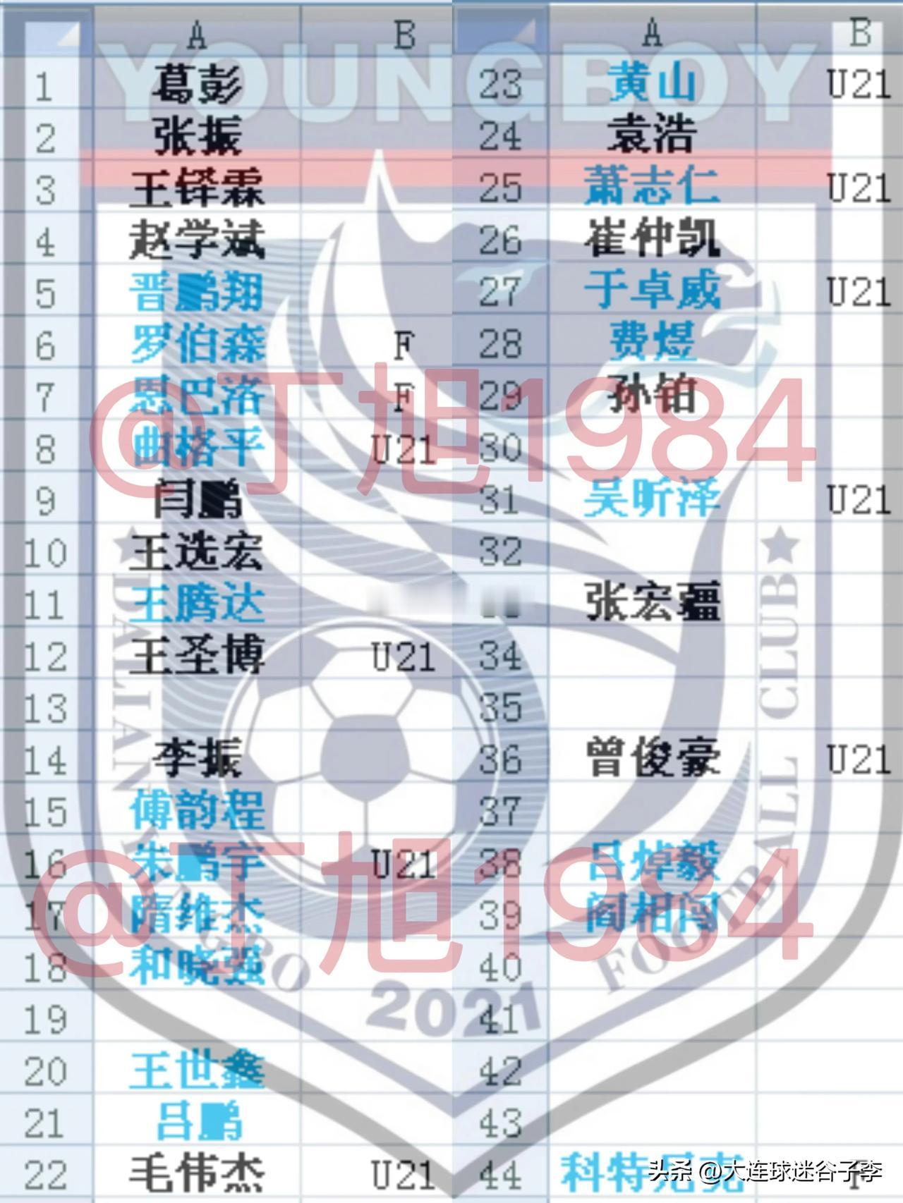 据丁旭透露2024赛季中甲大连英博一线队33人名单（仅供参考），极个别球员或存在