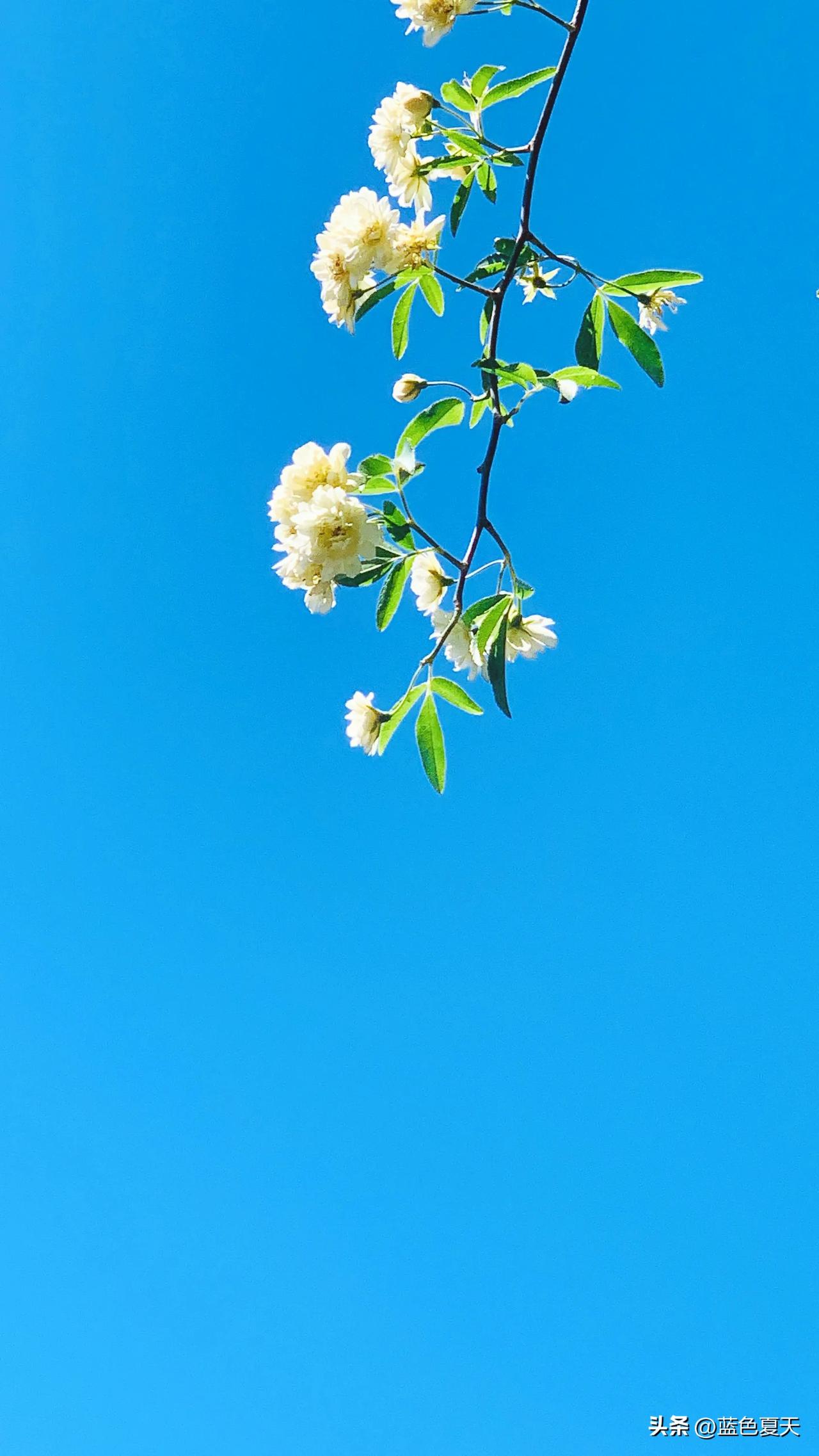 太阳温暖早起的人
月亮陪伴晚睡的人
在尘世间行走，总会有光照亮前路
我们带着各自