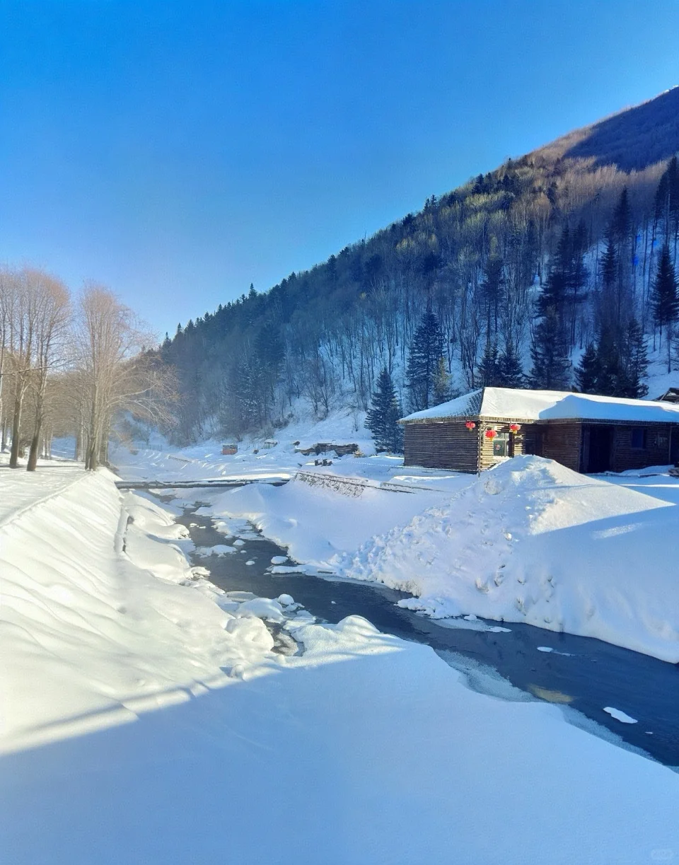 此刻想去哈尔滨+雪乡+长白山的心已到顶峰！