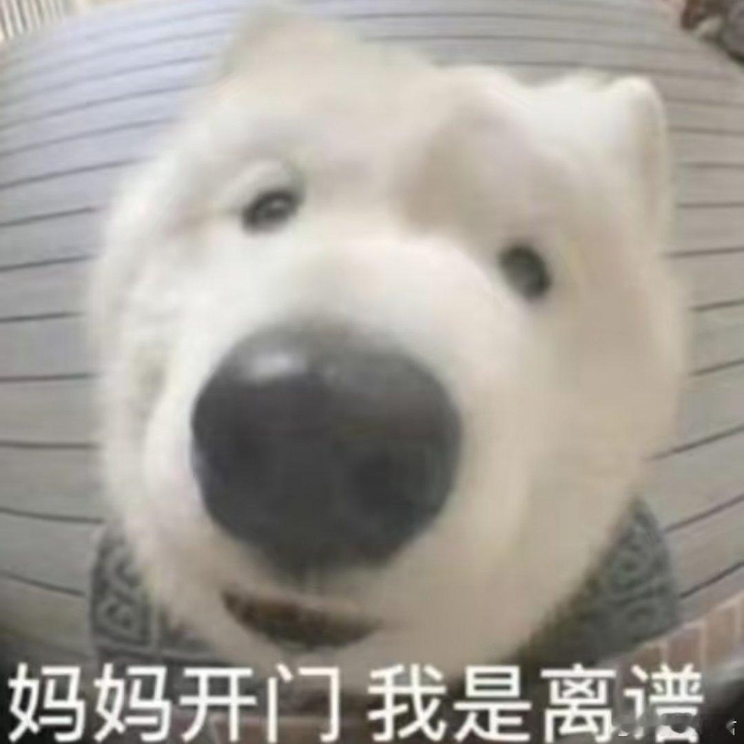 新人办结婚证却领到离婚证职场之能闯多大的祸.mp4真是离谱他妈给离谱开门……[二