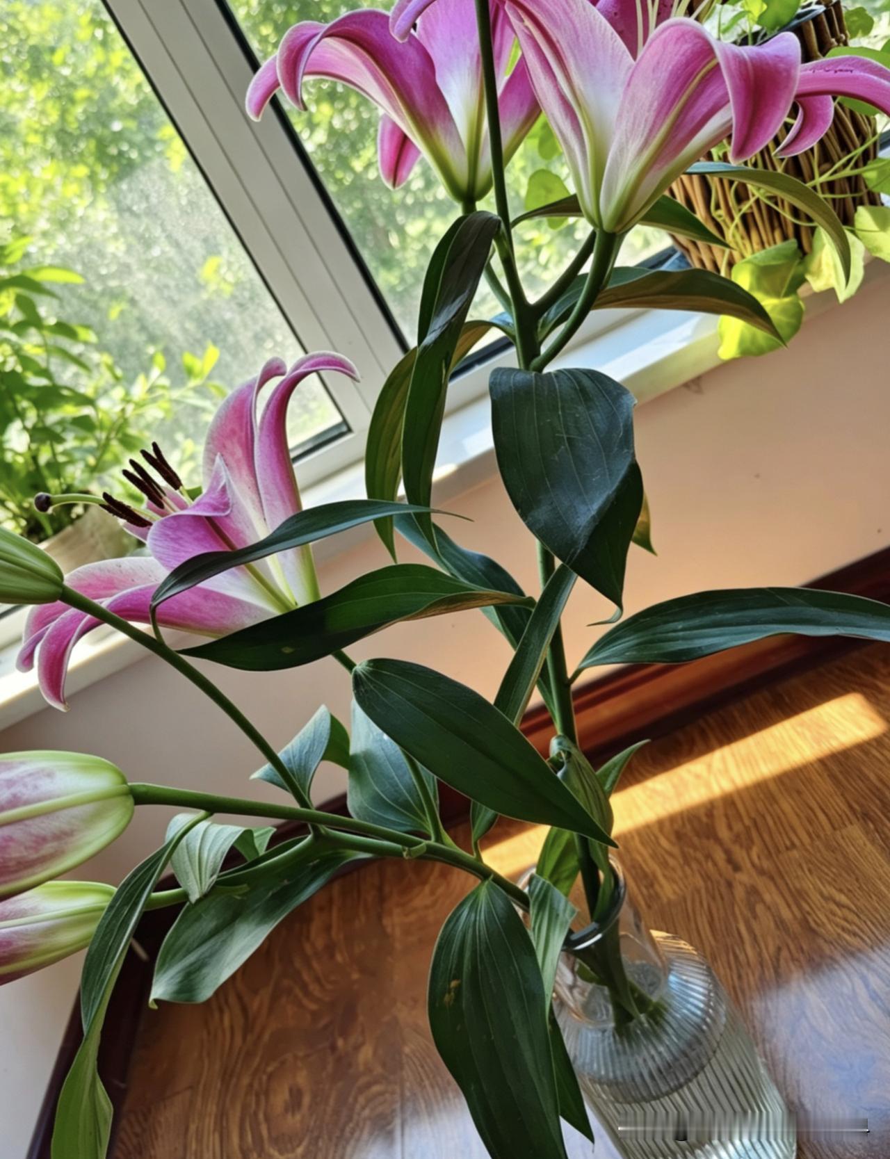 我手机里存了好多花花草草的照片。每次翻相册看到它们，就像打开了一个充满生机的小世