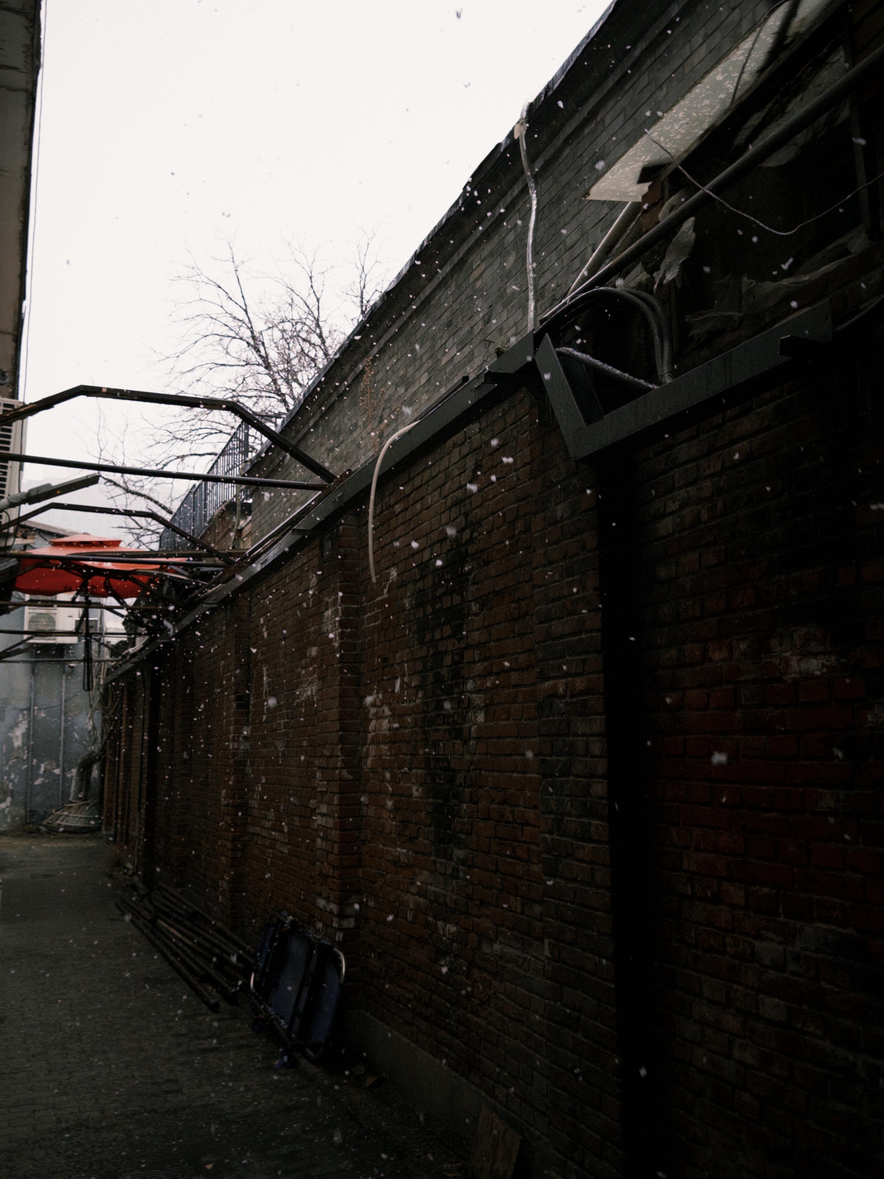 好吧，冬天。我原谅你了。❄️ ​​​