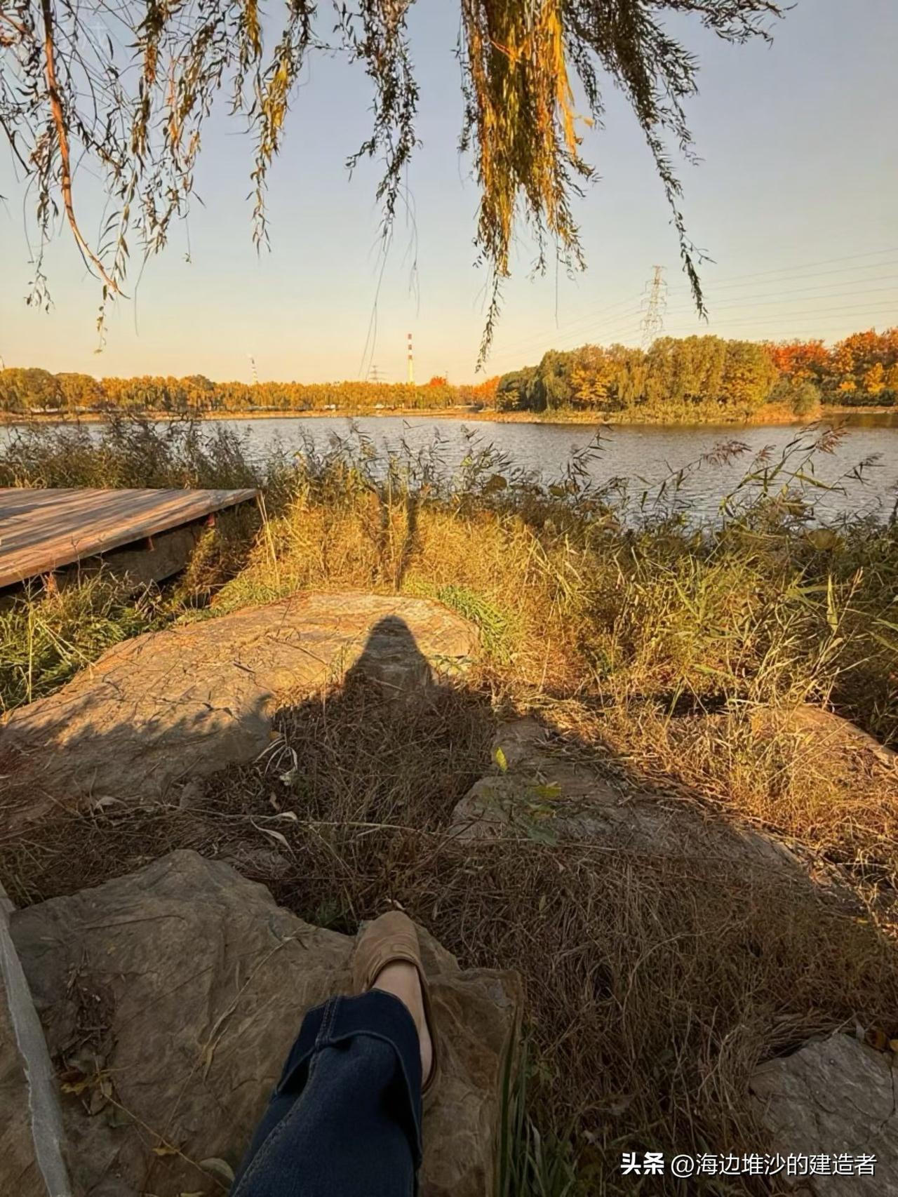 “50岁学习还记得住吗？”不少人到这年纪都有这顾虑，觉得脑子不如年轻时灵光，学了