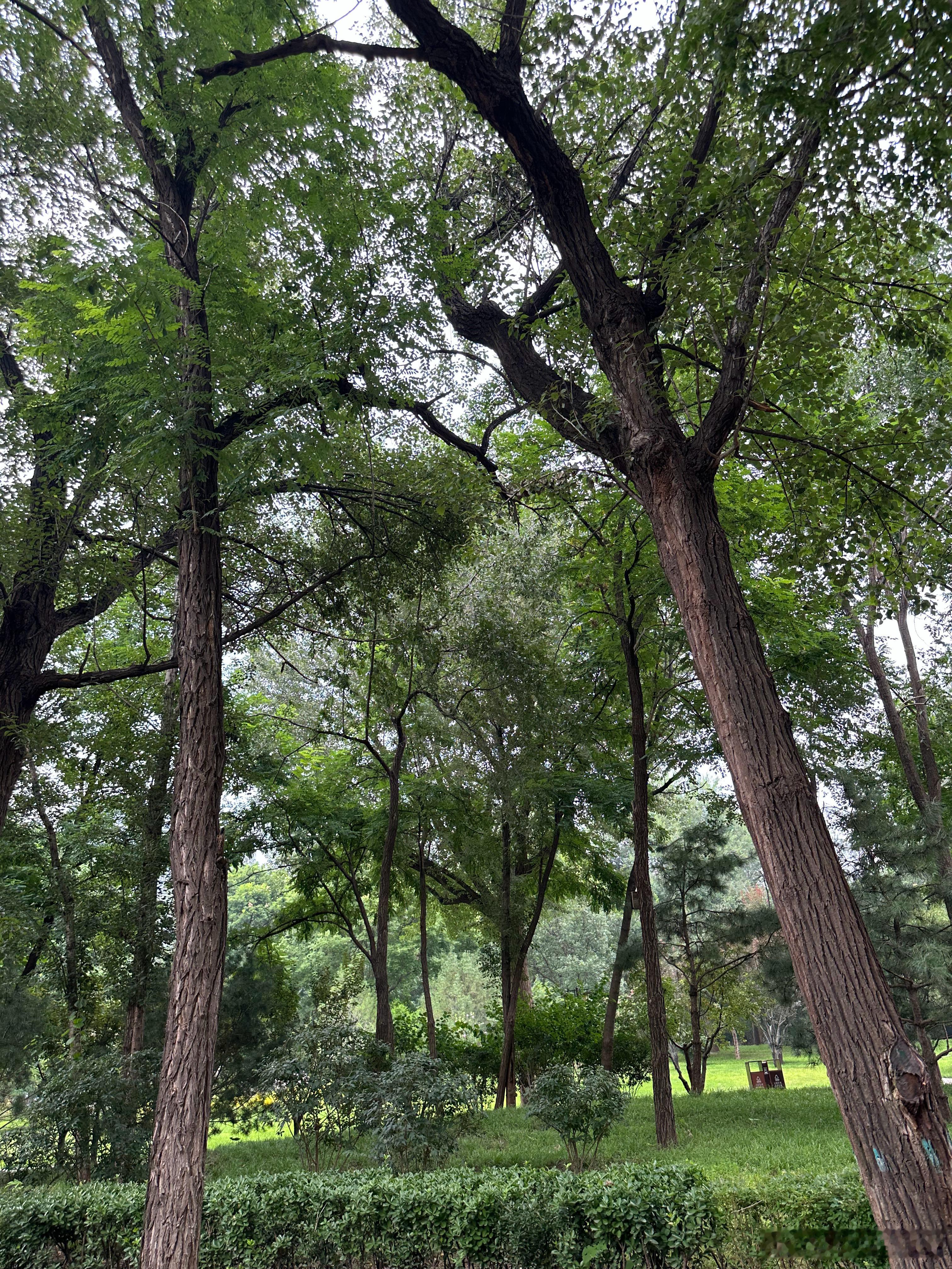 每日一善 👏👏👏阳光信用 善良是一种修养，善待他人就是善待自己，要想得到别
